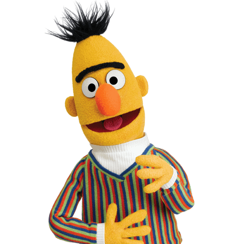 Bert from sesame street (not BERT the NLP)